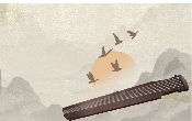 直播课专栏