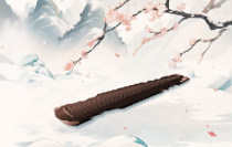爱一个人或者恨一个人，带Ta听古琴音乐会都将是绝杀！
