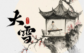 大雪 | 古琴与梅花，藏在诗里的东方雅韵绝配~