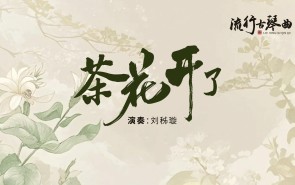 茶花开了