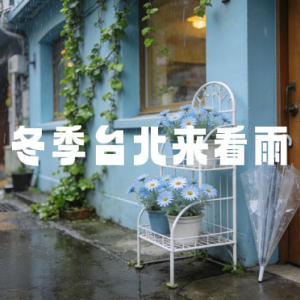 冬季台北来看雨