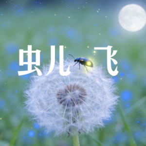 虫儿飞