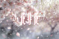 花非花